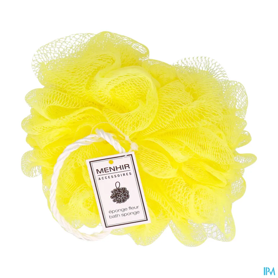 packshot van Vitry Bloemenspons Asia Eponfle 1 stuk