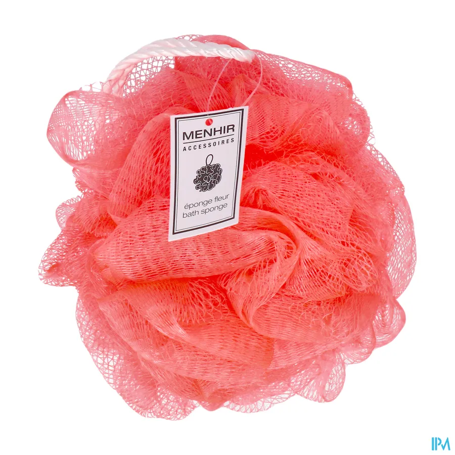 packshot van Vitry Bloemenspons Asia Eponfle 1 stuk