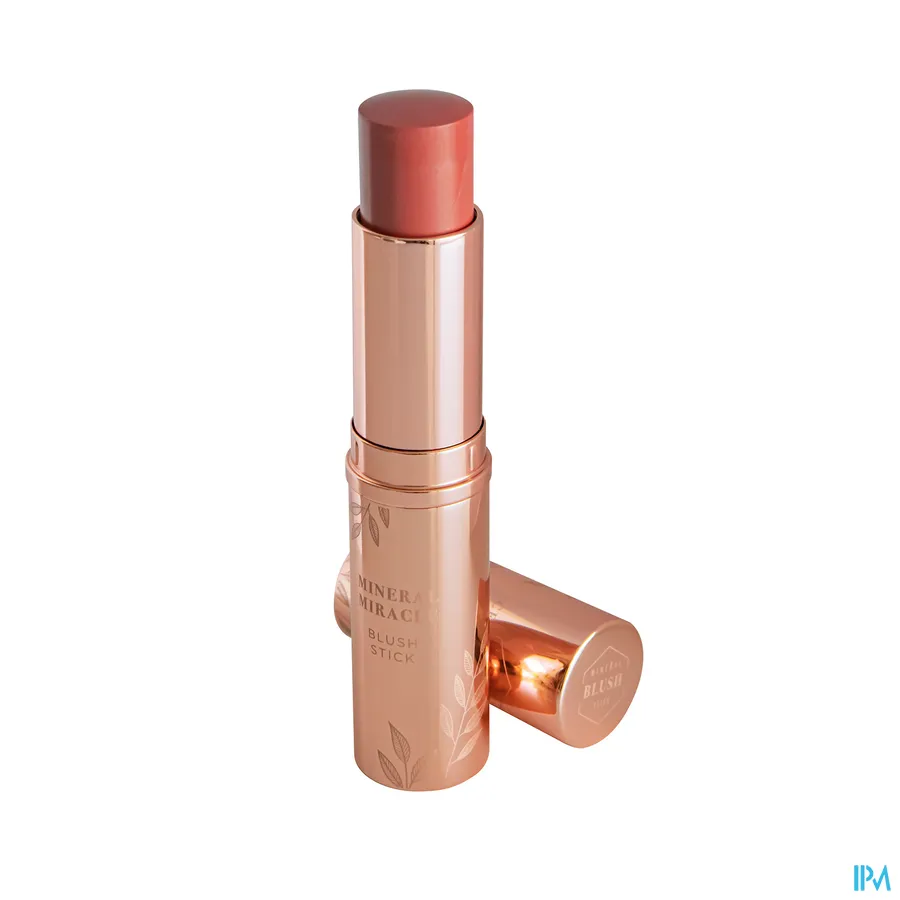 productshot van  Cent Pur Cent 16 Big Powder Brush