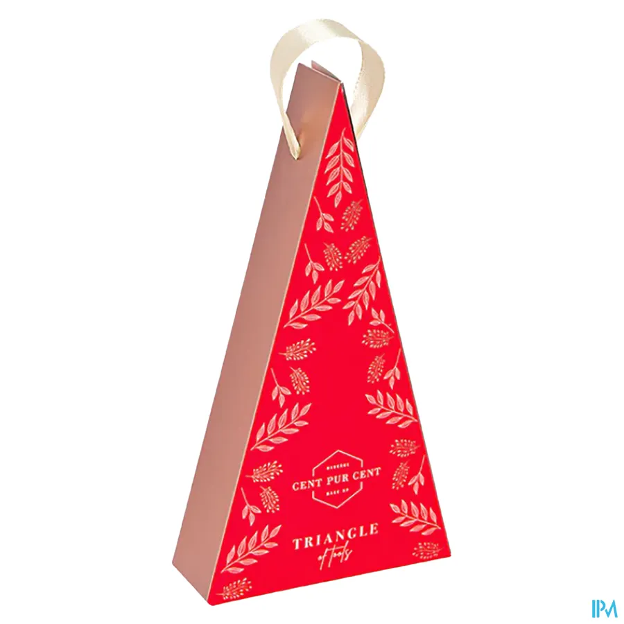 packshot van Cent Pur Cent Triangle of Tools Cent Pur Cent