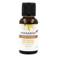 Pranarom Les Diffusables Gezellig Thuis 30 ml