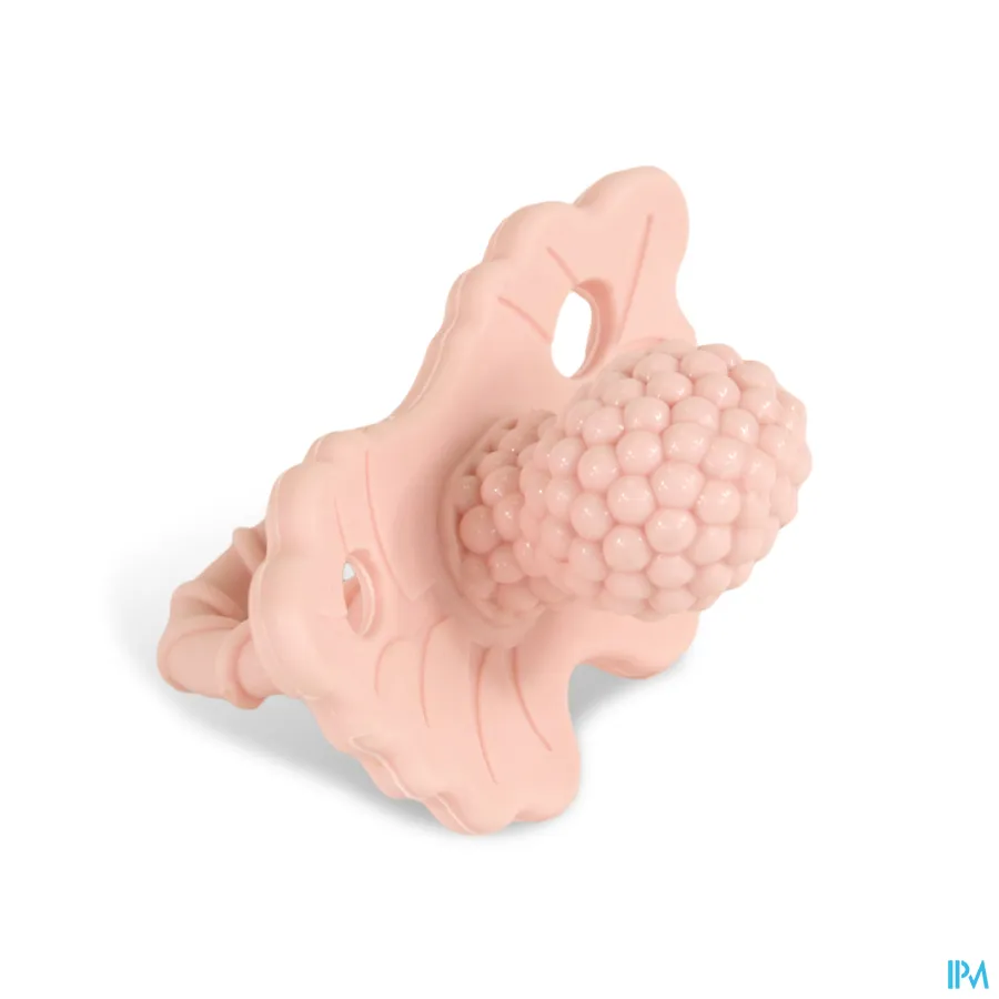 productshot van Raz Baby Bijtring Framboos Roze 3+ 1 stuk