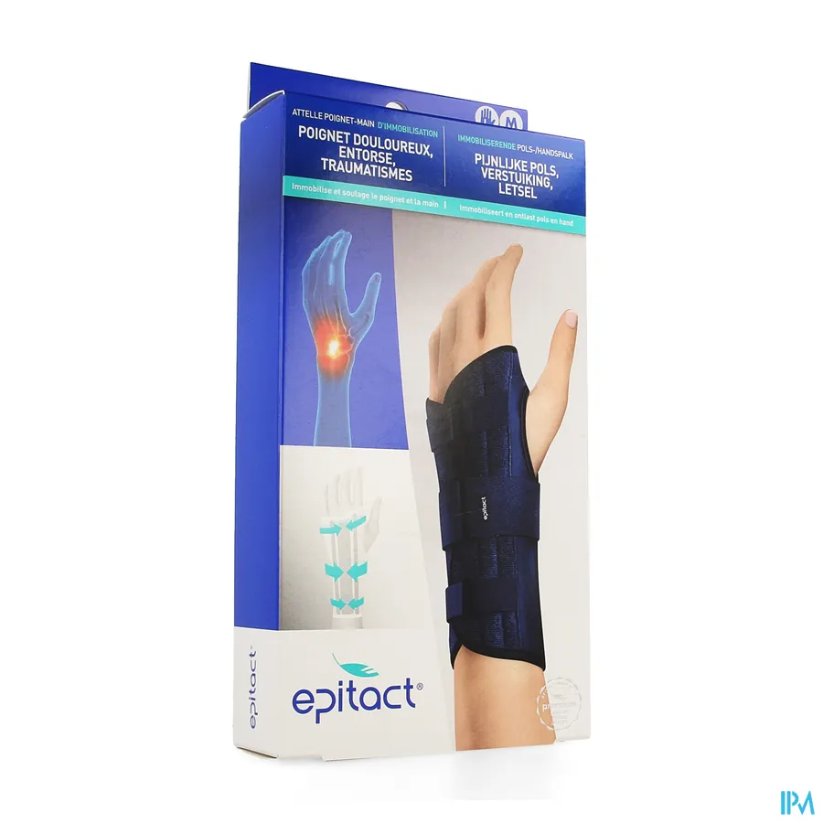 packshot van Epitact Pols/Handspalk Links M 1 stuk